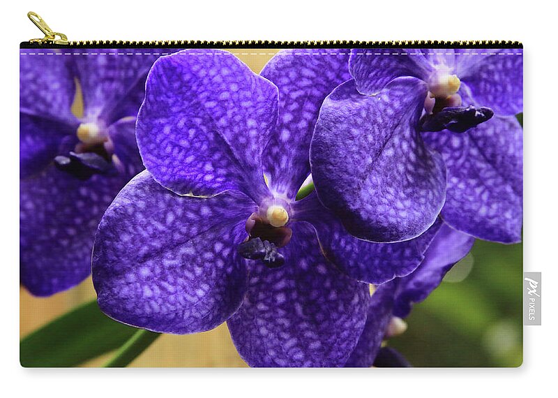 China Carry-all Pouch featuring the photograph Vanda Orchid by Tanya Owens
