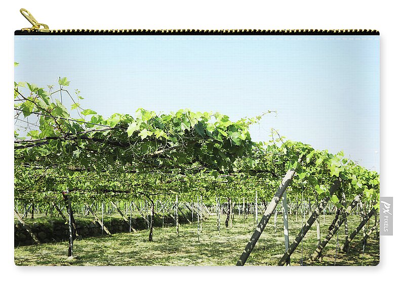 Grape Shelf Zip Pouch featuring the photograph Vineyard #1 by Kaoru Shimada