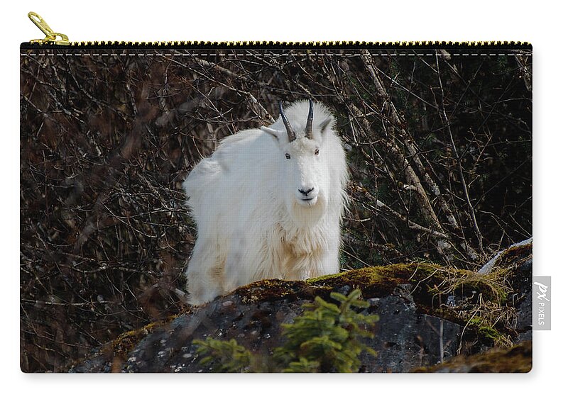 Goat Carry-all Pouch featuring the photograph Watching by David Kirby