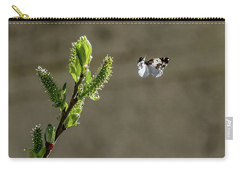 Western White Butterfly Zip Pouch featuring the photograph Western White Butterfly #1 by Timothy Anable