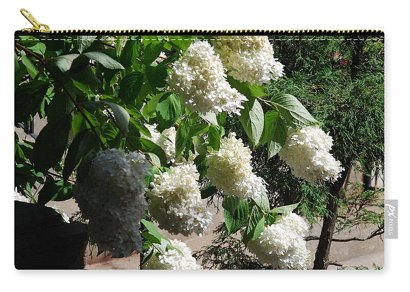 Annabelle Hydrangeas Zip Pouch featuring the photograph White Annabelles #1 by Ee Photography