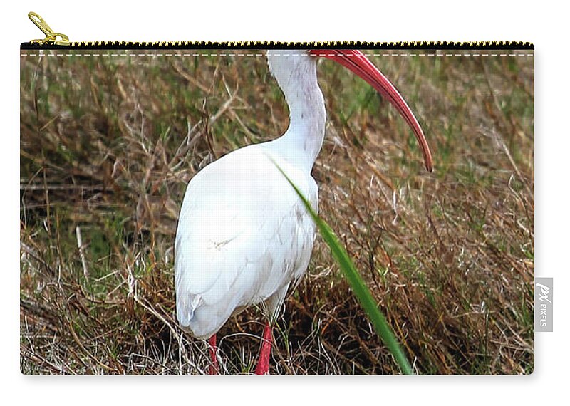 Ibis Zip Pouch featuring the photograph White Ibis by Robert Harris