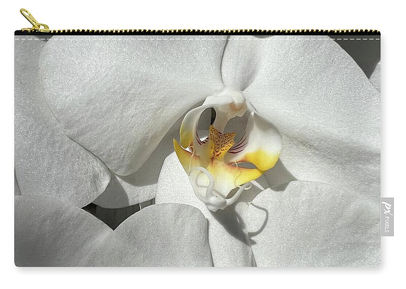 Orchid Zip Pouch featuring the photograph White Orchid With Yellow #1 by Karen Zuk Rosenblatt