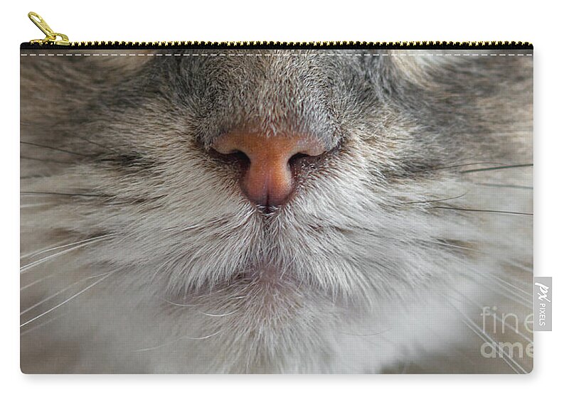  Carry-all Pouch featuring the photograph Zoey by Susan Warren