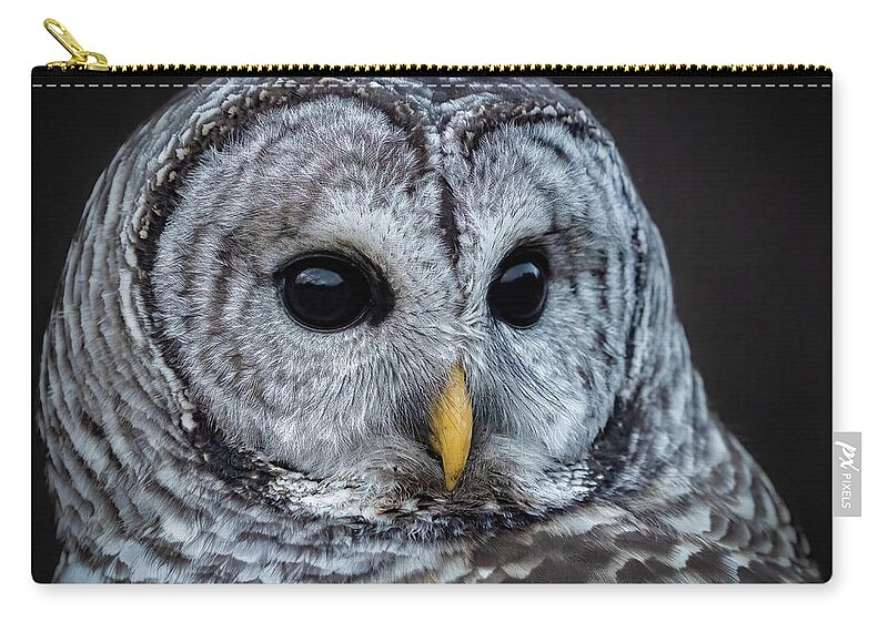 Owl Zip Pouch featuring the photograph Barred Owl #10 by Brad Bellisle