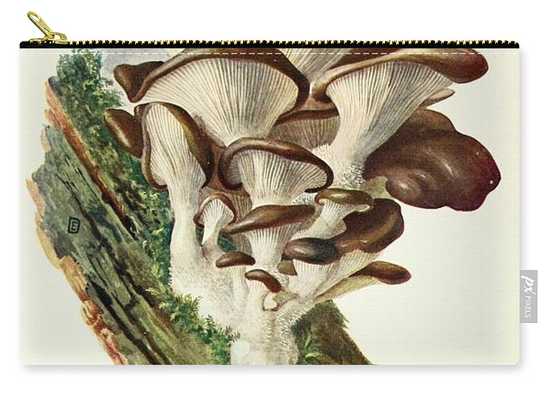 Flora Zip Pouch featuring the mixed media Vintage Fungi Illustrations #10 by World Art Collective