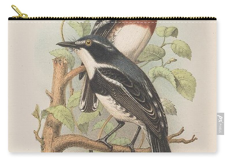 Birds Zip Pouch featuring the mixed media Beautiful Vintage Bird #1025 by World Art Collective