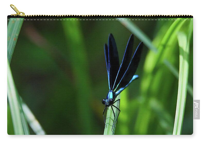 Dragonfly Zip Pouch featuring the photograph Ebony Jewelwing Damselfly #11 by Brook Burling