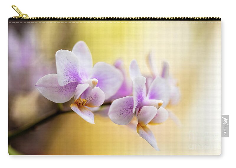 Background Zip Pouch featuring the photograph Purple Orchid Flowers #11 by Raul Rodriguez