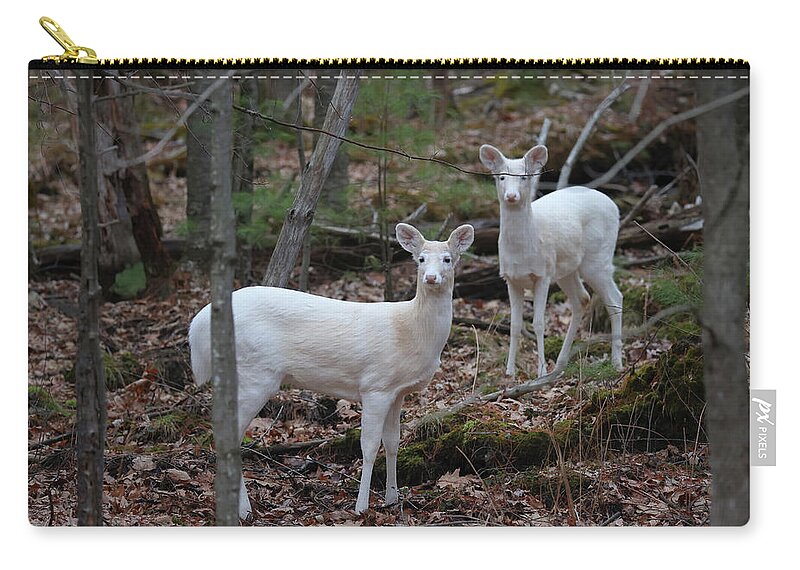 Whitetail Deer Zip Pouch featuring the photograph White Deer #12 by Brook Burling