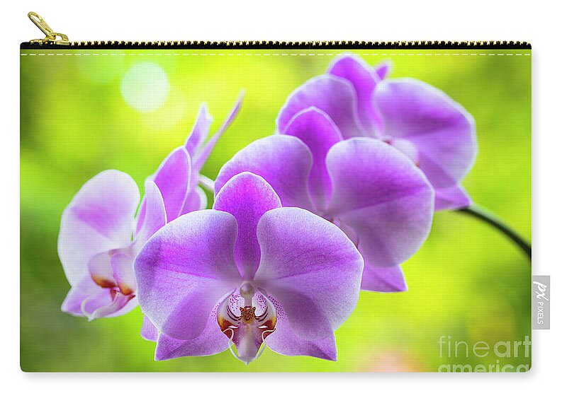 Background Zip Pouch featuring the photograph Purple Orchid Flowers #14 by Raul Rodriguez