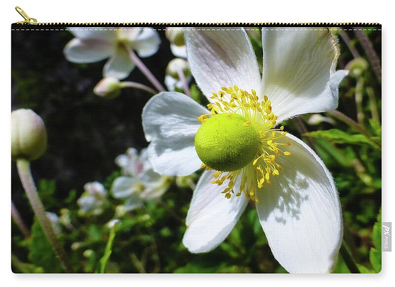 Hawaii Images Zip Pouch featuring the photograph Hawaii Flowers Photography 20150710-178 by Rowan Lyford