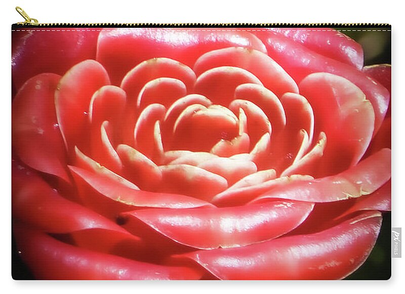 Red Rose Pictures Zip Pouch featuring the photograph Hawaii Flower Photography 20150713-746 by Rowan Lyford