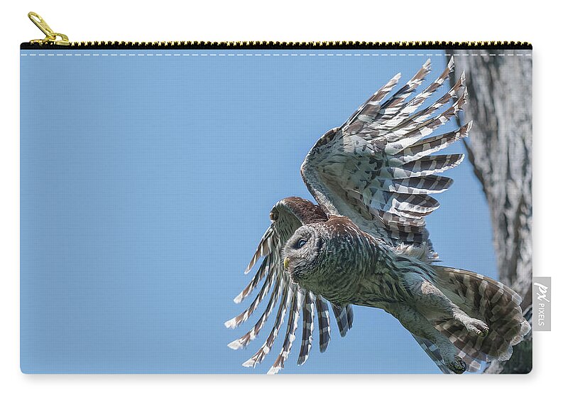 Magic Feathers Zip Pouch featuring the photograph Magic Feathers by Puttaswamy Ravishankar