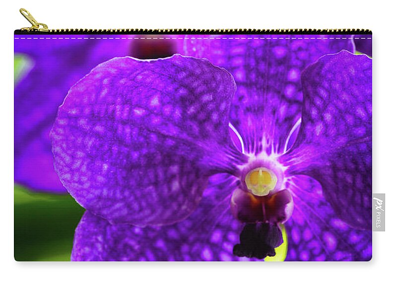Background Zip Pouch featuring the photograph Purple Orchid Flowers #17 by Raul Rodriguez