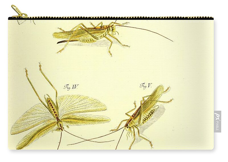 Grasshoppers Zip Pouch featuring the mixed media Insects #173 by World Art Collective