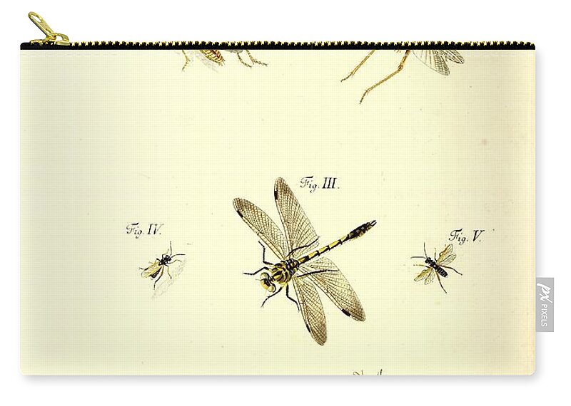 Grasshoppers Zip Pouch featuring the mixed media Insects #174 by World Art Collective