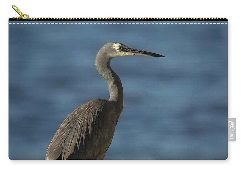 Heron Zip Pouch featuring the photograph 1808wfaceheron3 by Nicolas Lombard