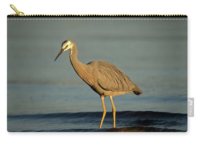 Heron Zip Pouch featuring the photograph 1808wfaceheron4 by Nicolas Lombard