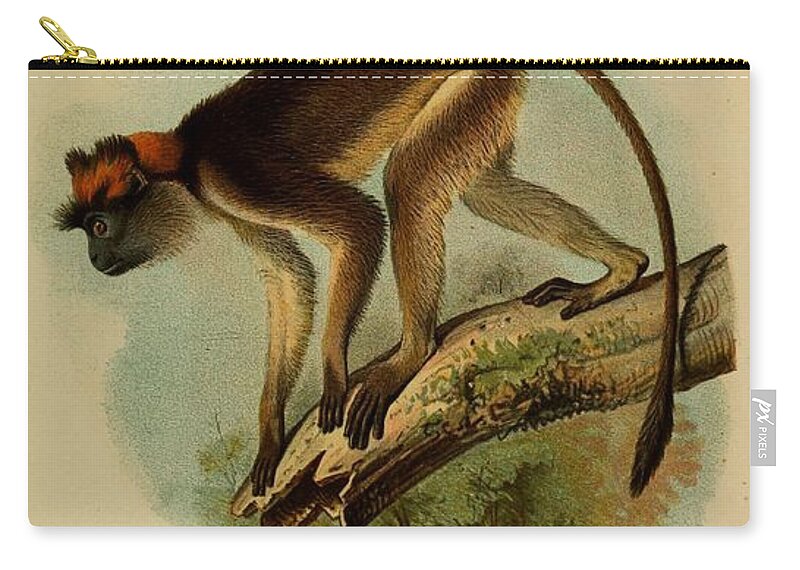 John Zip Pouch featuring the mixed media Beautifil Antique Monkey #2 by World Art Collective