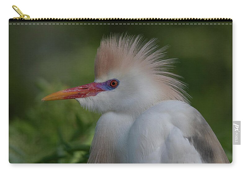 Cattle Zip Pouch featuring the photograph Cattle Egret #3 by Carolyn Hutchins