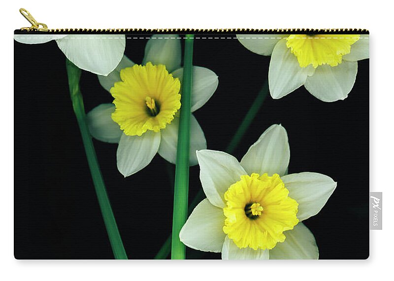 Daffodils Zip Pouch featuring the photograph Dayana #2 by Maz Ghani