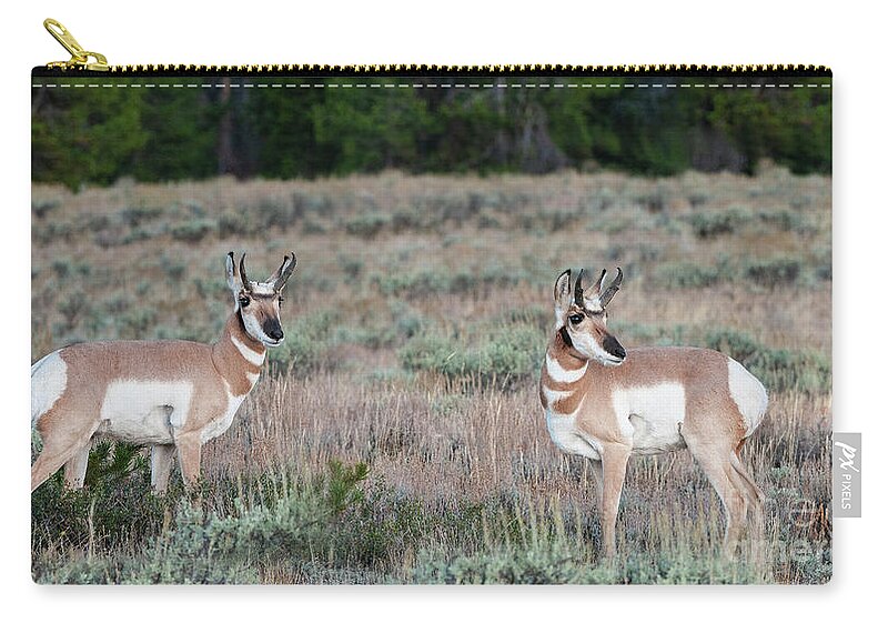 Animals Zip Pouch featuring the photograph Double Trouble #2 by Sandra Bronstein