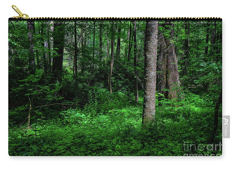 Blue Ridge Zip Pouch featuring the photograph Early Morning Light by Shelia Hunt