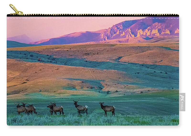 Elk Zip Pouch featuring the photograph Elk At Sunrise #2 by Gary Beeler