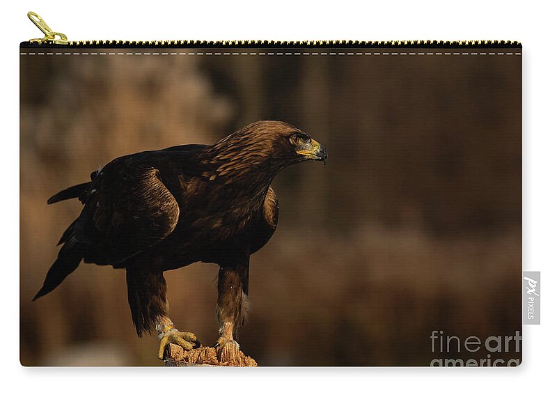 Birdwatching Zip Pouch featuring the photograph European Golden Eagle #2 by JT Lewis
