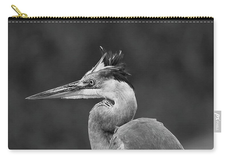  Zip Pouch featuring the photograph Great blue heron #2 by Puttaswamy Ravishankar