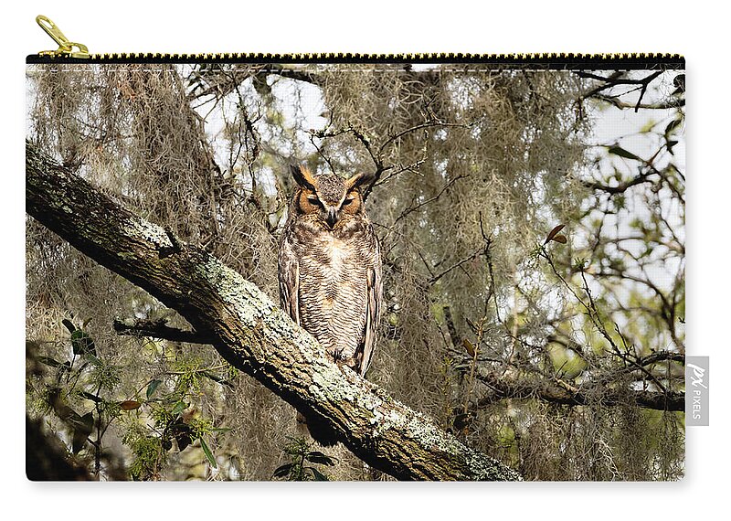 Great Horned Owl Zip Pouch featuring the photograph Great Horned Owl #2 by Colin Hocking