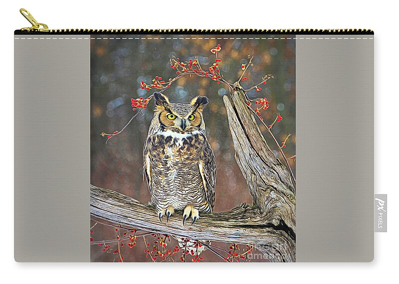 Great Horned Owl Zip Pouch featuring the photograph Great Horned Owl Ohio #3 by Teresa Jack