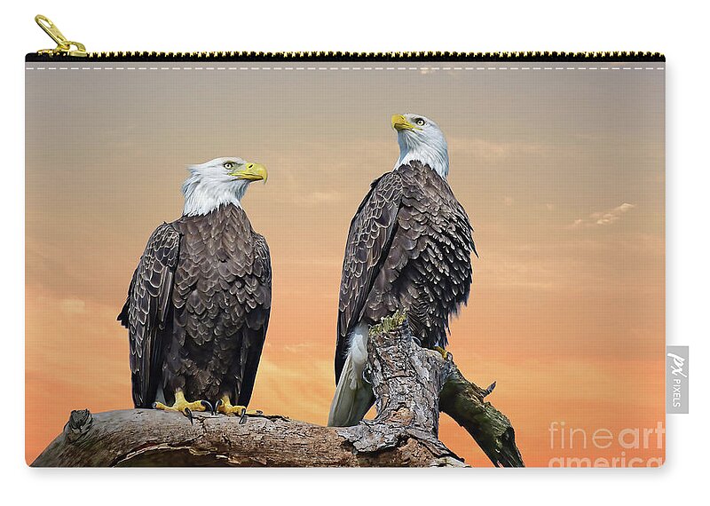 Harriet Zip Pouch featuring the photograph Harriet and M15 #2 by Liz Grindstaff