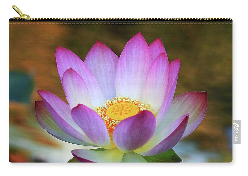 Lotus Zip Pouch featuring the photograph Lotus Flower #2 by Shixing Wen