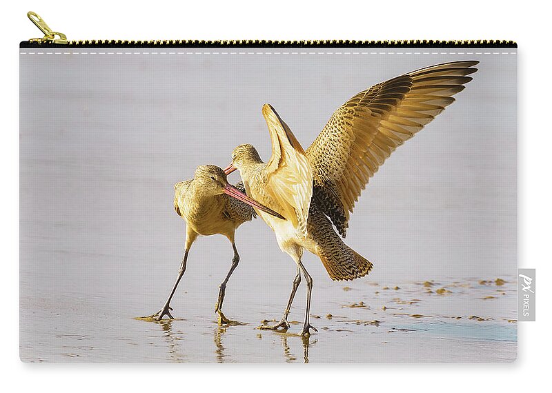 California Zip Pouch featuring the photograph Marbled godwit on the beach at sunset. A close-up portrait of a #2 by Hanna Tor