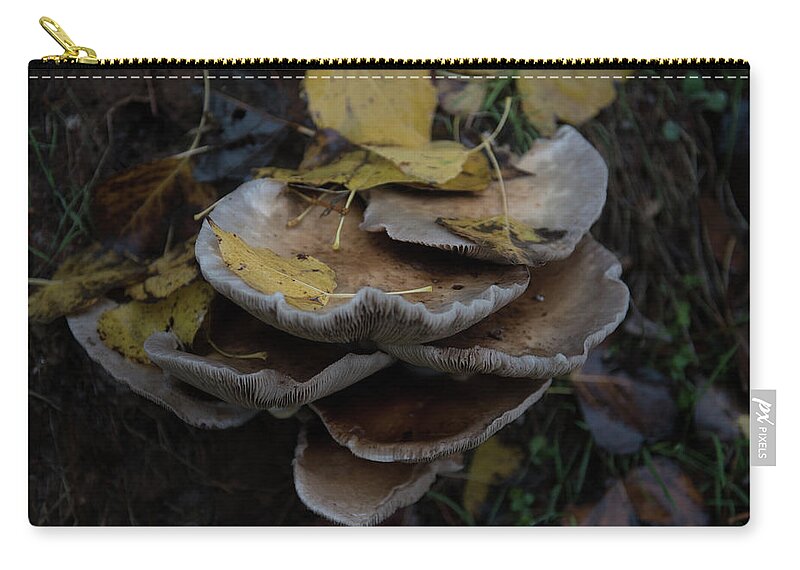 Europe Zip Pouch featuring the photograph Mushrooms #2 by Eleni Kouri