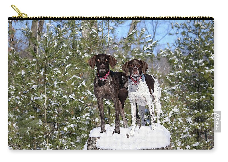 German Shorthaired Pointers Zip Pouch featuring the photograph My Girls #2 by Brook Burling