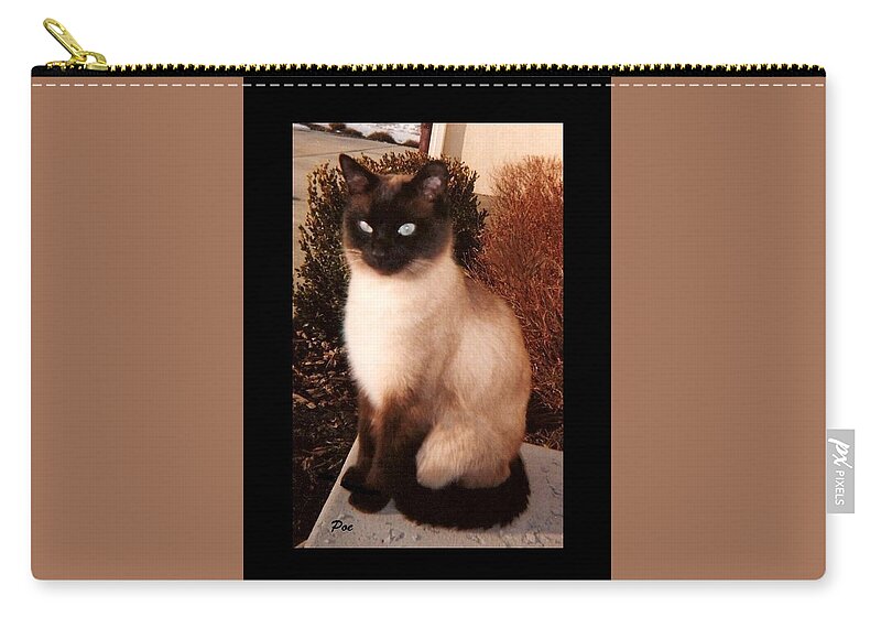 Felines Carry-all Pouch featuring the photograph Poe by Diane Strain