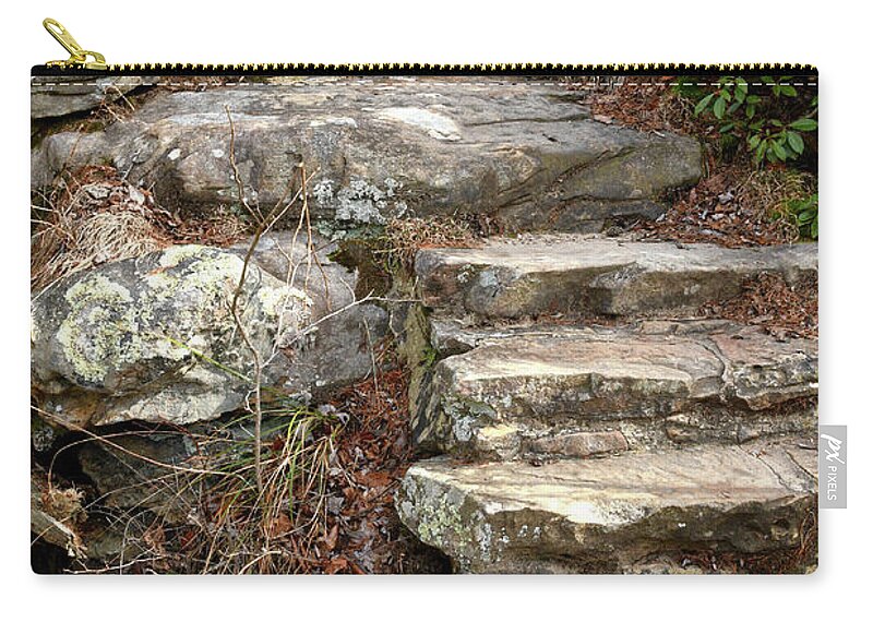 Hike Carry-all Pouch featuring the photograph Steps Into The Forest by Phil Perkins
