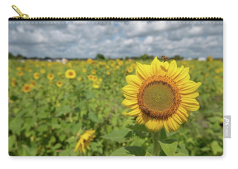 Sunflower Zip Pouch featuring the photograph Sunflower with Honeybee #4 by Carolyn Hutchins