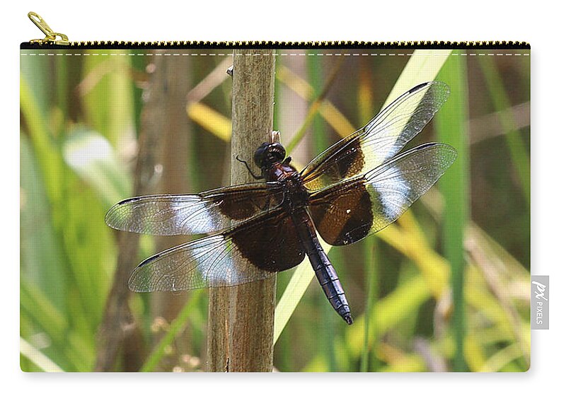 Dragonfly Zip Pouch featuring the photograph Widow Skimmer Dragonfly #2 by Tom Doud