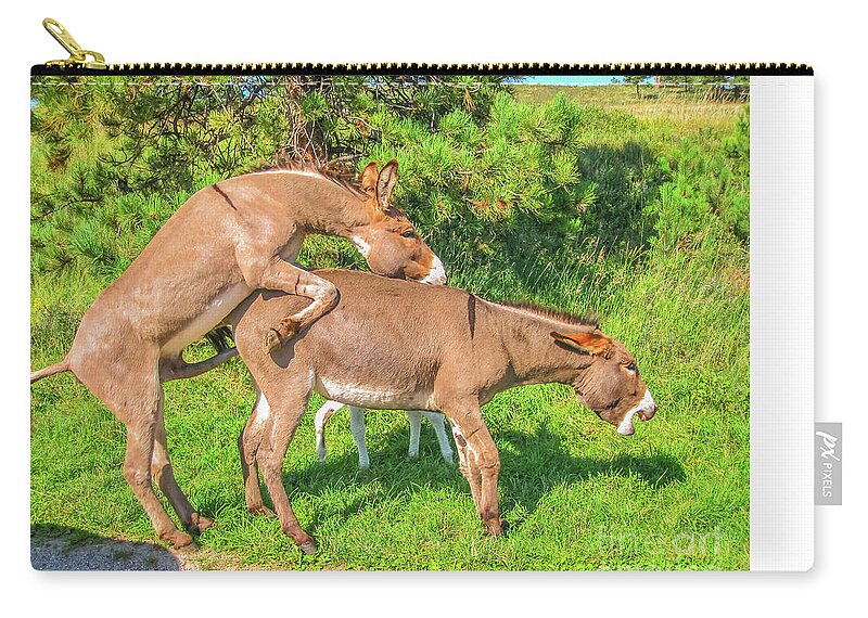 Wild Donkeys mating Zip Pouch by Benny Marty - Pixels