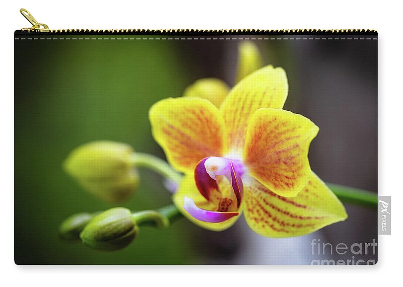 Background Zip Pouch featuring the photograph Yellow Orchid Flowers #2 by Raul Rodriguez