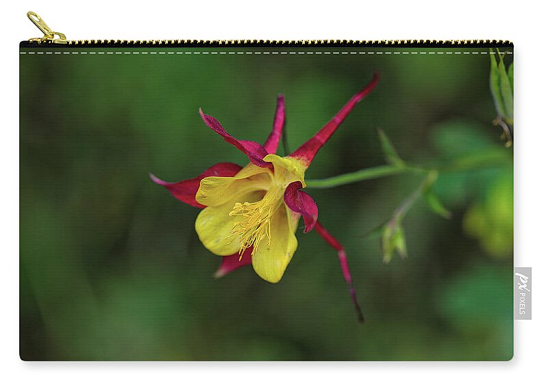 Co Zip Pouch featuring the photograph Colorado #21 by Doug Wittrock