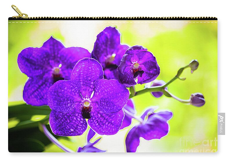 Background Zip Pouch featuring the photograph Purple Orchid Flowers #20 by Raul Rodriguez