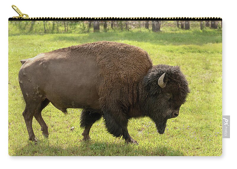 Buffalo Zip Pouch featuring the photograph 2018 Buffalo-1 by Tara Krauss