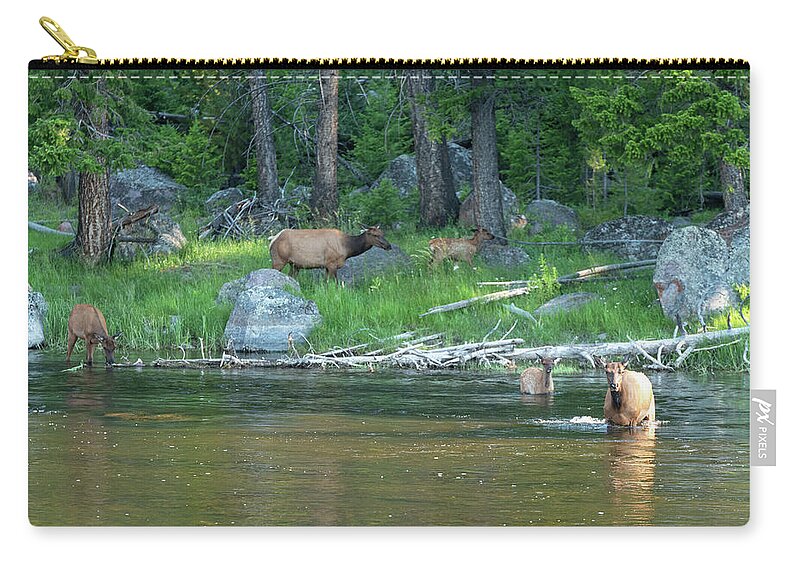 Elk Zip Pouch featuring the photograph 2018 Elk- 1 by Tara Krauss