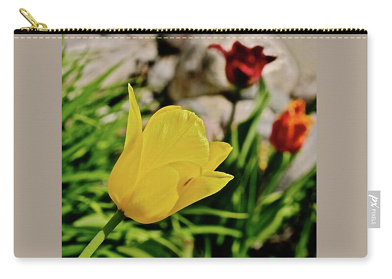 Tulips Carry-all Pouch featuring the photograph 2020 Acewood Tulips By the Water 1 by Janis Senungetuk