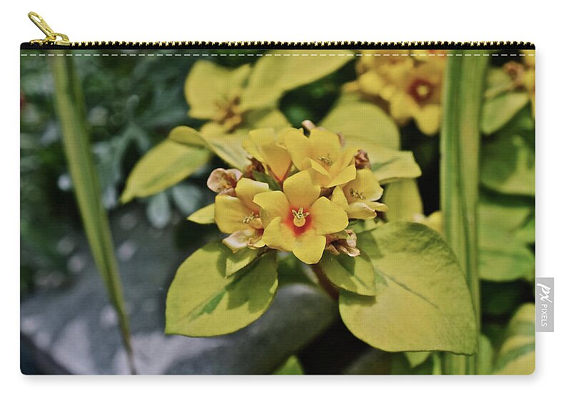 Flowers Zip Pouch featuring the photograph 2020 Mid June Garden Container 1 by Janis Senungetuk